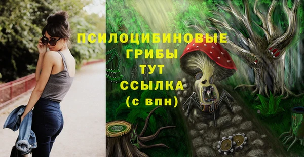 МДМА Арсеньев