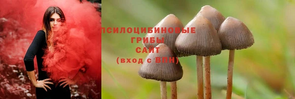стафф Нефтекумск