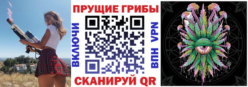 Псилоцибиновые грибы Psilocybe  гидра ТОР  Борзя 